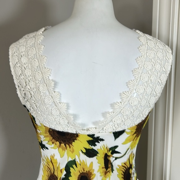 HOPE FOR FLOWERS BY TRACY REESE Silk Francoise Sleeveless Midi Dress Sz 6P - Picture 9 of 16